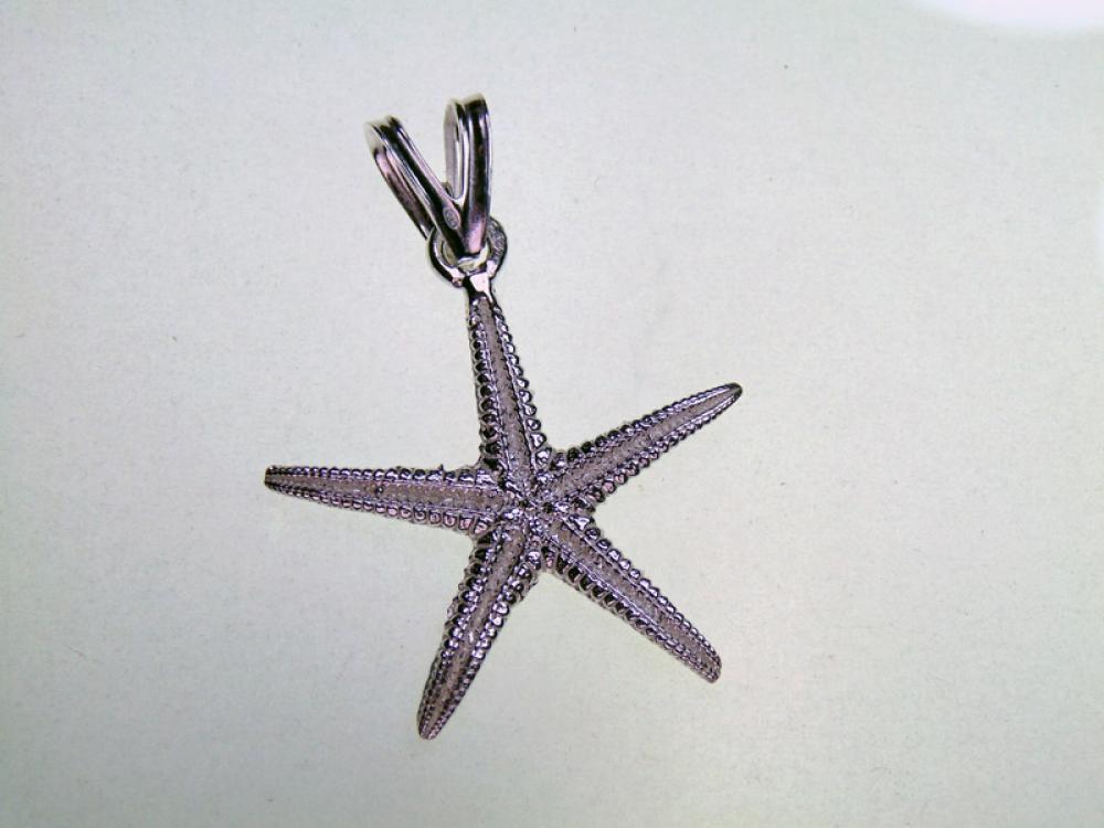 Ciondolo stella marina in argento